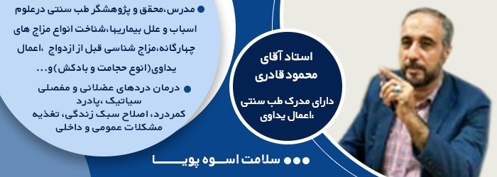  محمود قادری